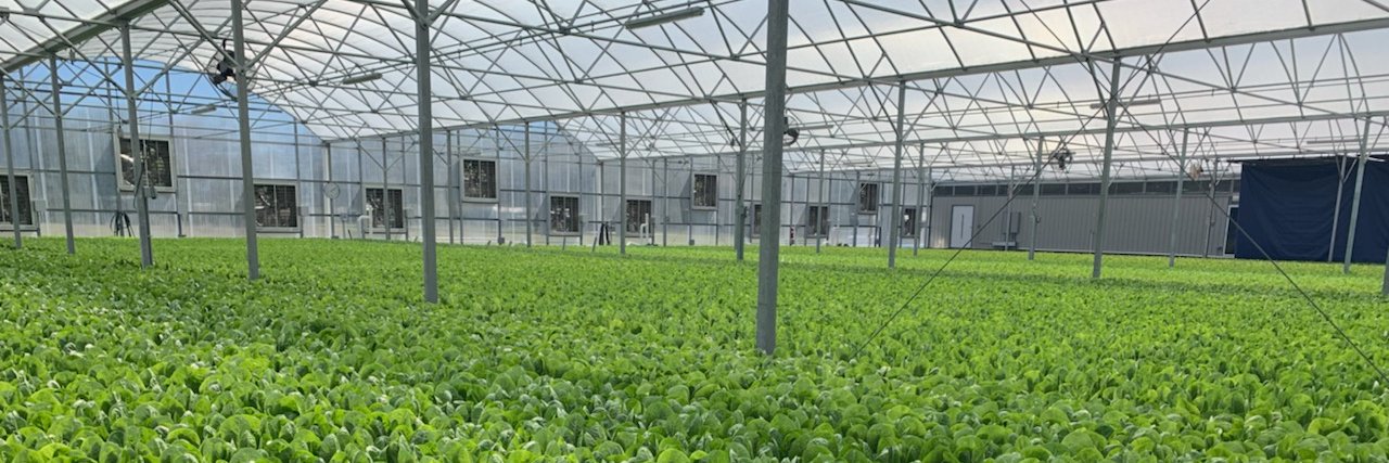 TradersHillFarm's profile banner image
