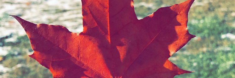 مساعد محمد الجويان banner