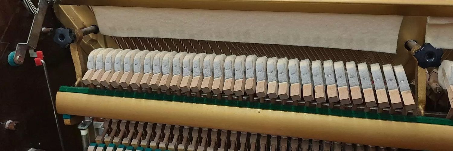 leite paterno banner