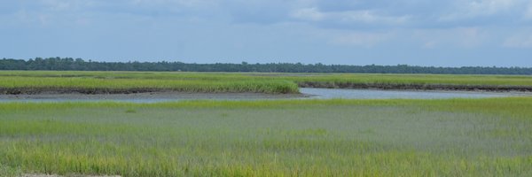 AlexaBely Profile Banner