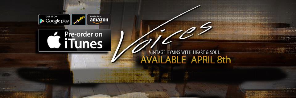 TheVoicesSeries's profile banner image