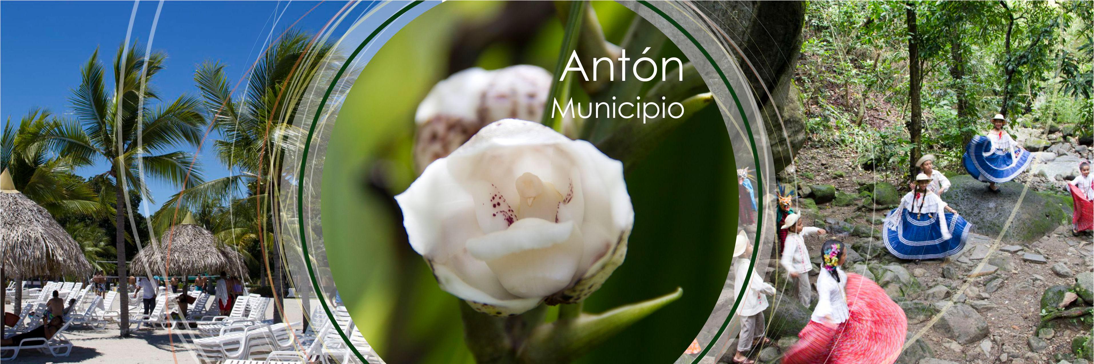anton_pty's profile banner image