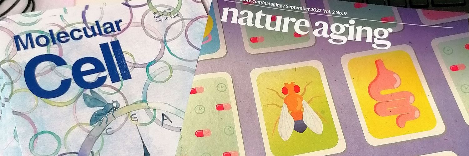 Bruna Di Giacomo banner