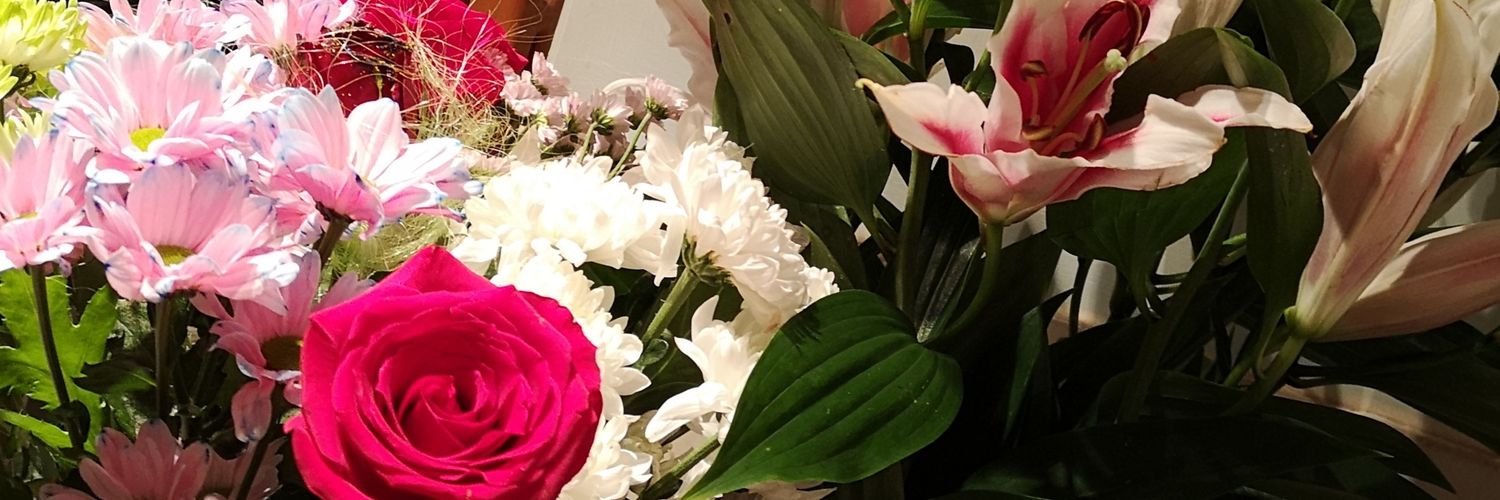 lucy phillips banner