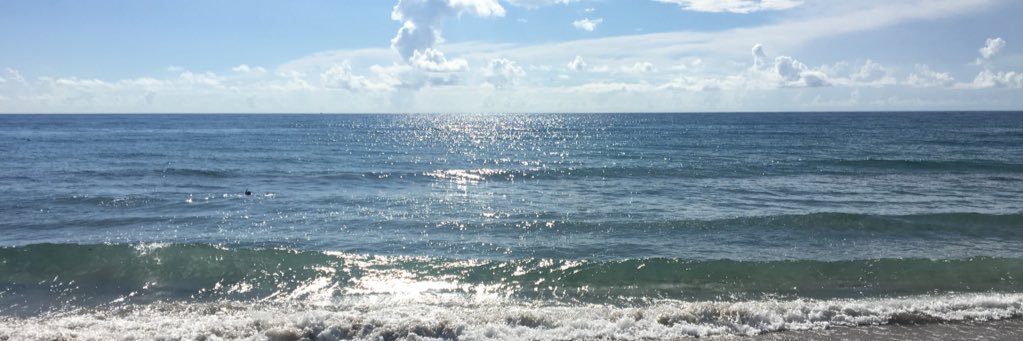 Anthony J. Balboa banner