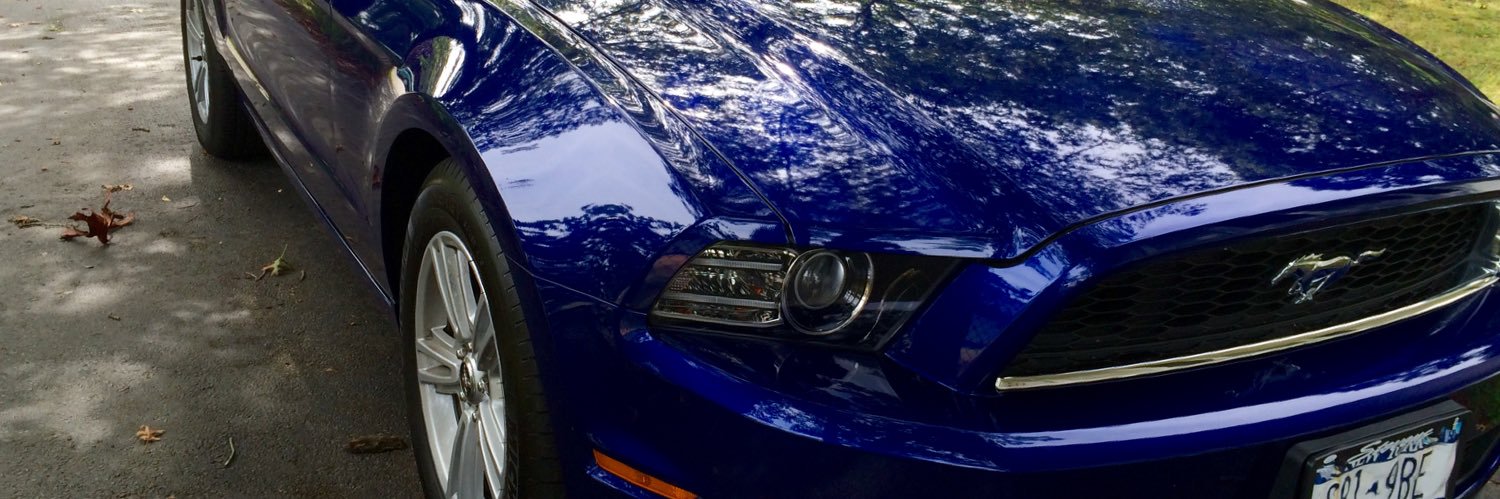mustang girl banner
