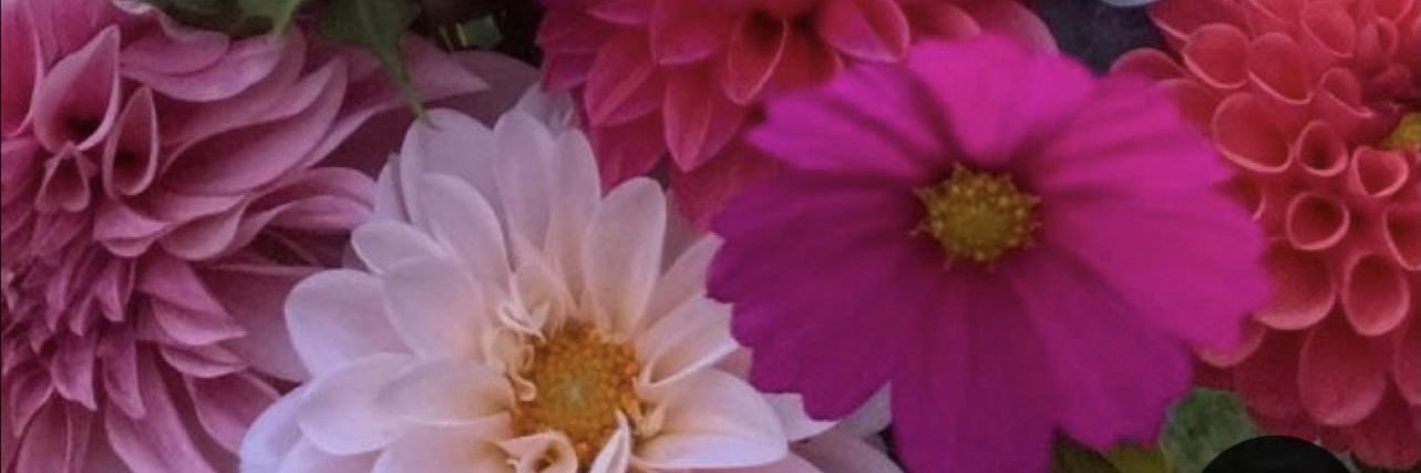 _Massielx33's profile banner image