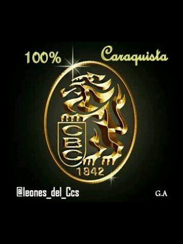 Franklin Figueredo banner