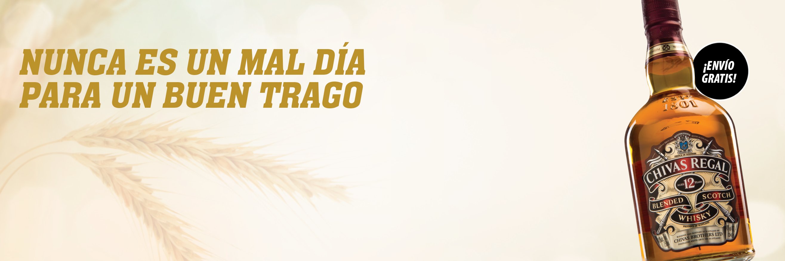 PANECOpty's profile banner image