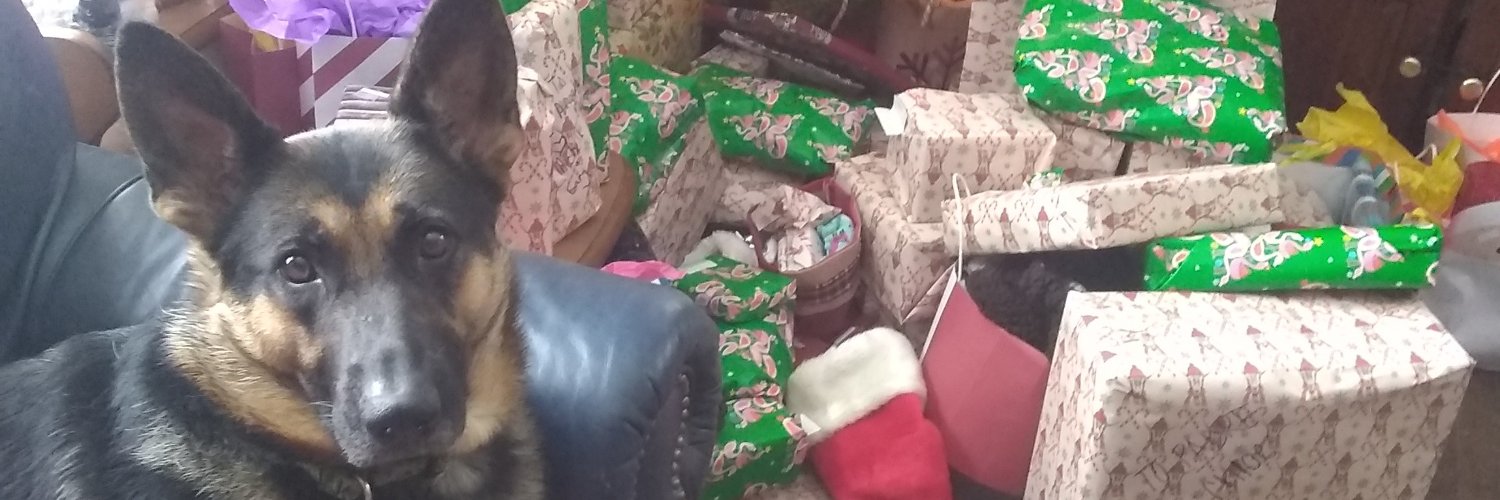 michellejester2's profile banner image