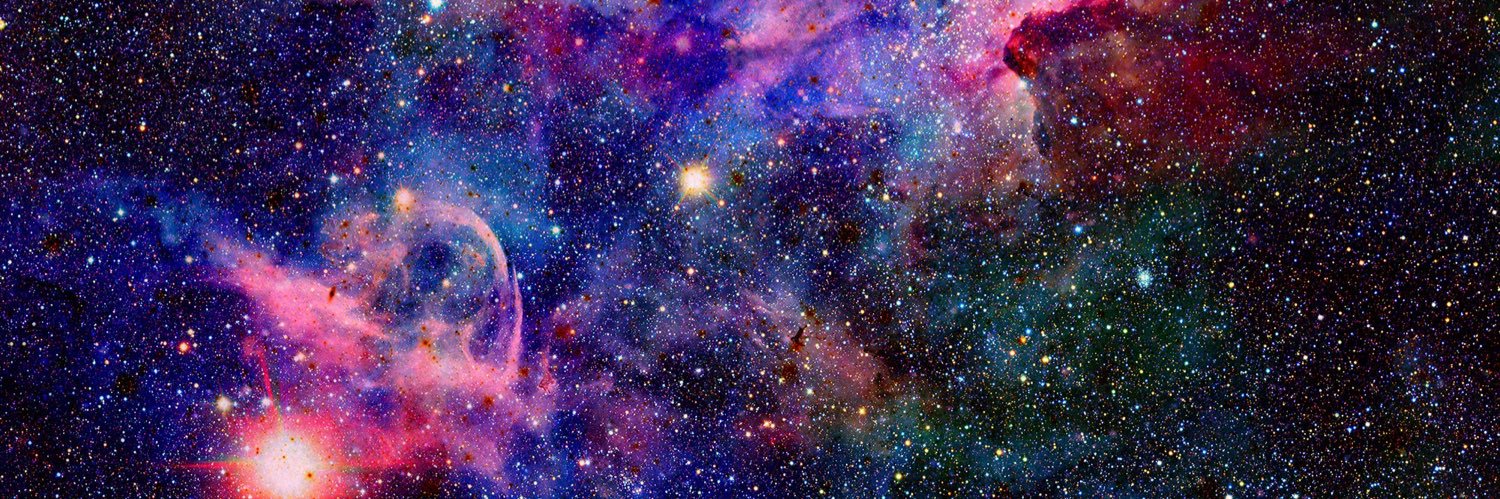 ellentnyc's profile banner image