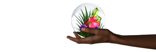 GeltorInc Profile Banner