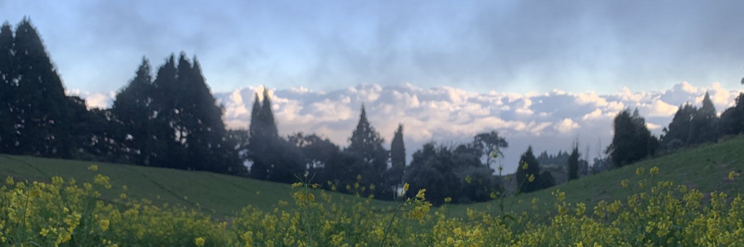 𝗇𝗂𝖼𝗈𝗅𝖾 𝗏𝖺𝗅𝗏𝖾𝗋𝖽𝖾 banner