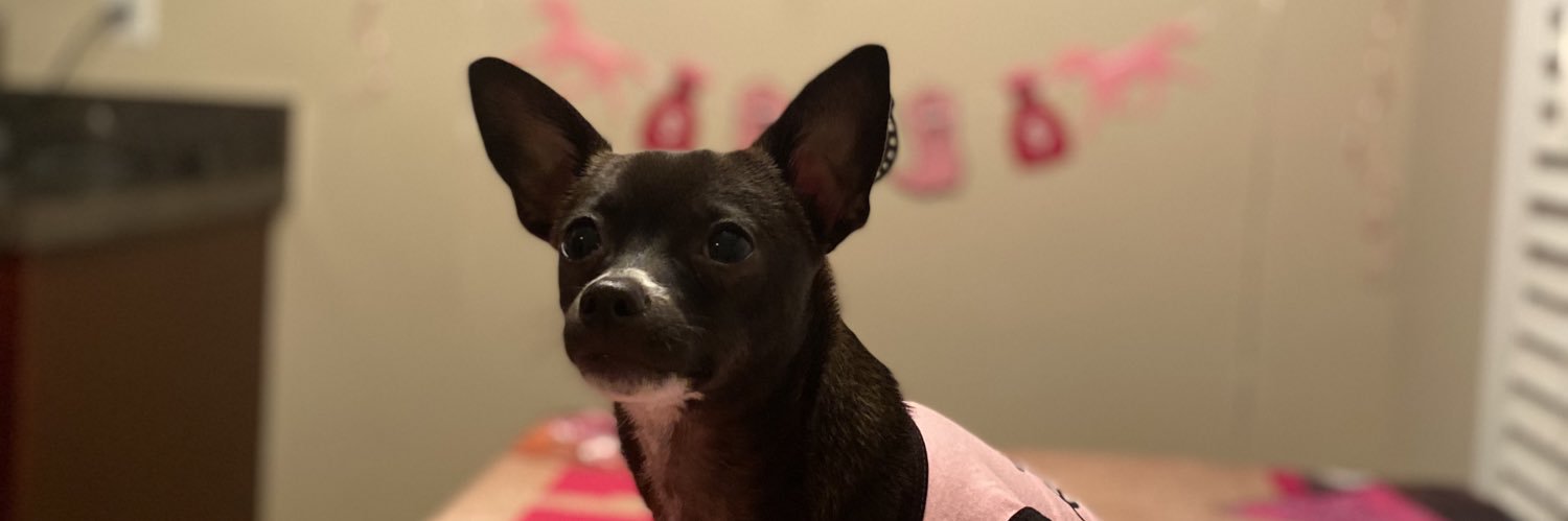 MissQueTi8's profile banner image