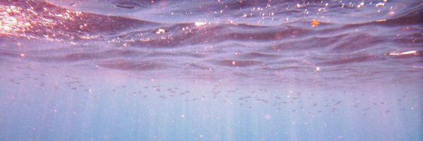 anavidall_ Profile Banner