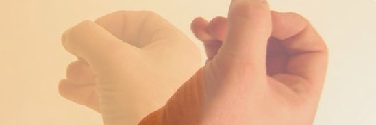 Molly Stewart banner