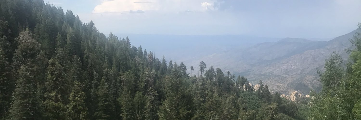 Mrs. Dyess-Carroll banner