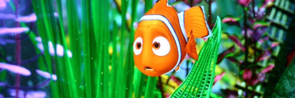 amanda_parisi13's profile banner image