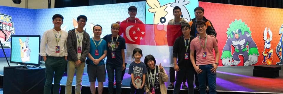 The Trainer Shed banner