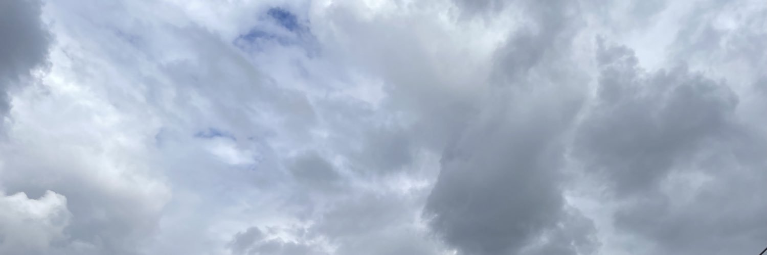 mgajzner's profile banner image