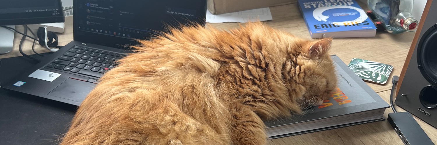 Michał Kmiecik banner