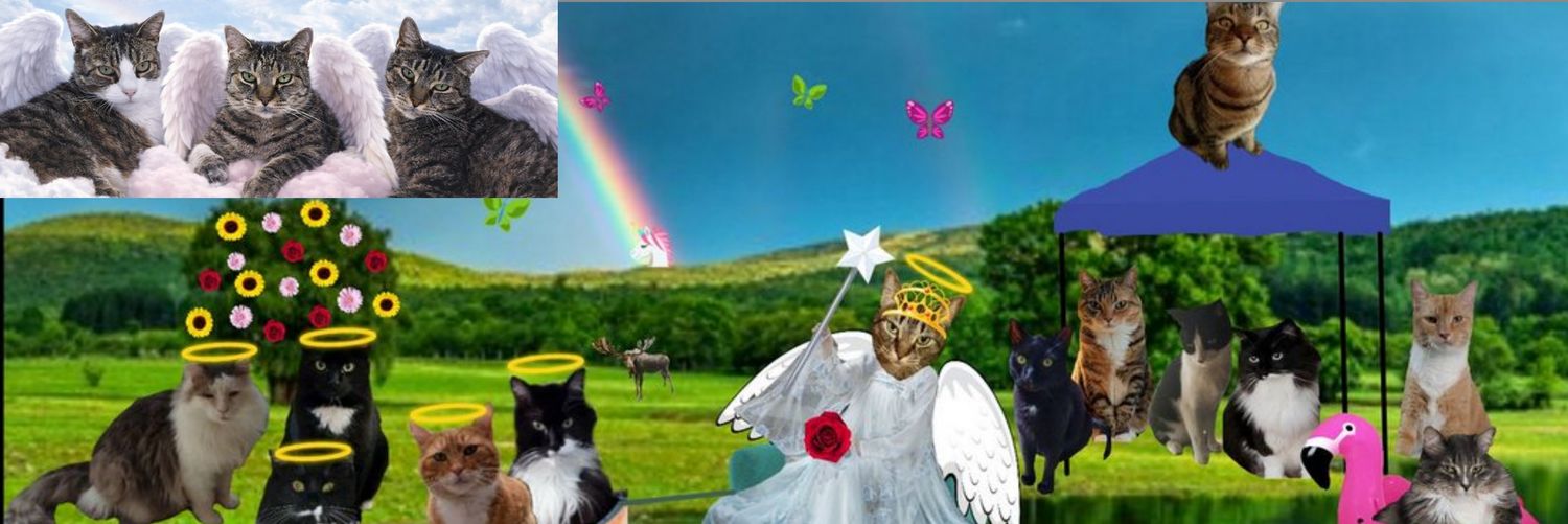 George McBunster: Eggsactly the guy 4 the job! banner