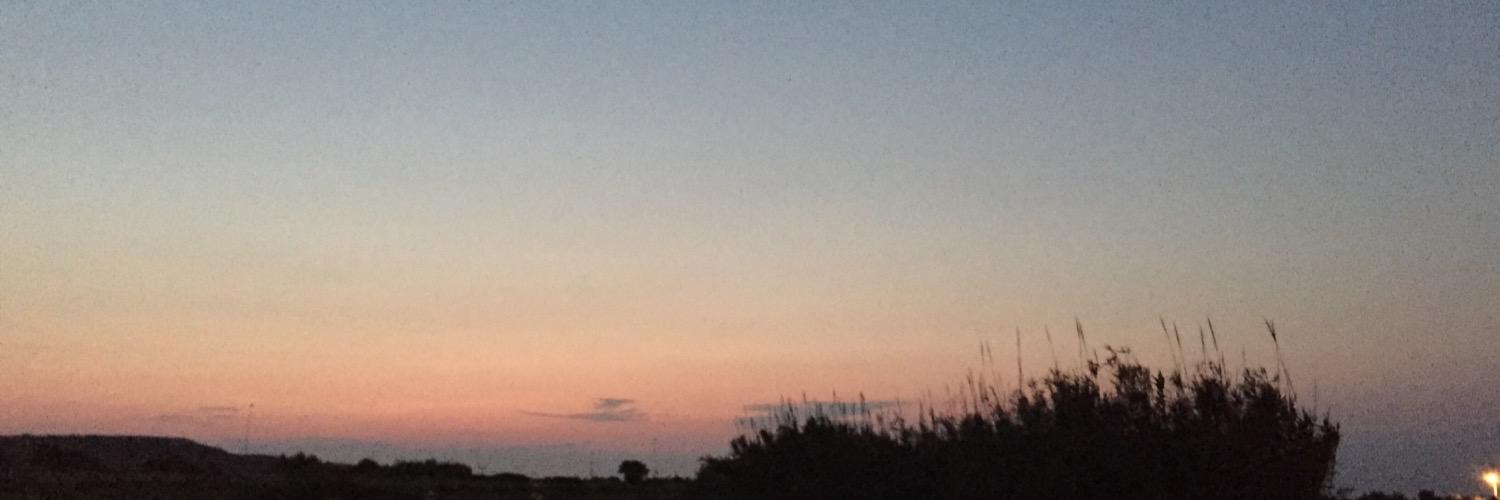 EsraErgin2's profile banner image