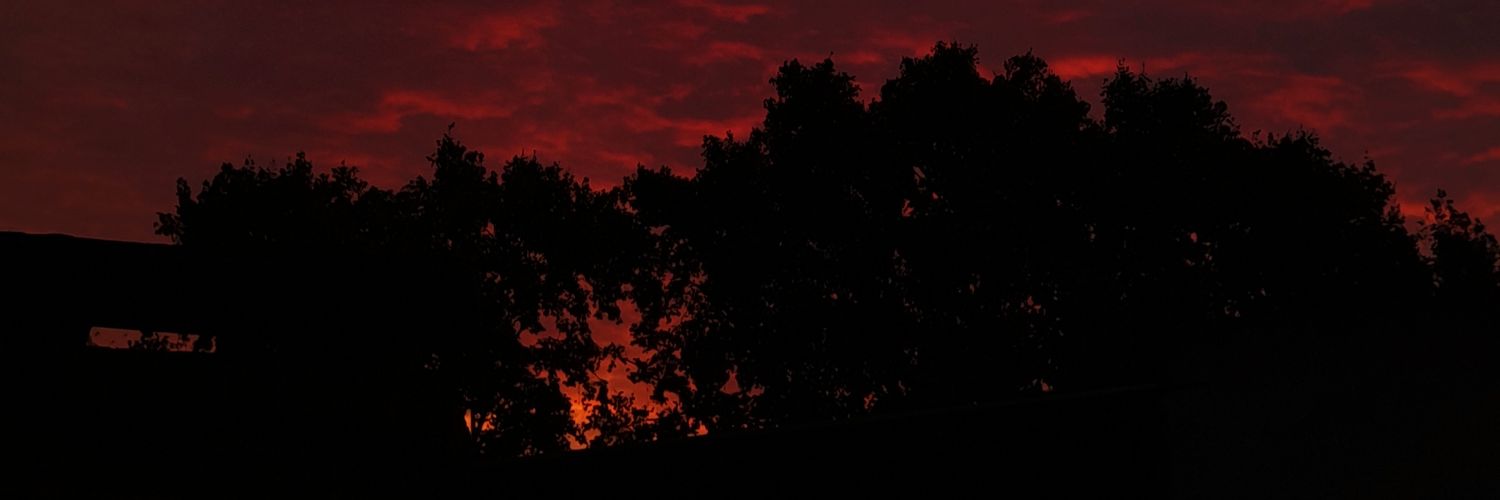AbrilDell's profile banner image