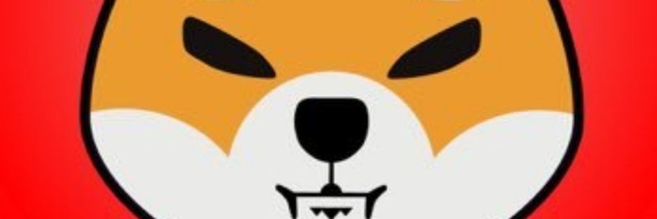ZenitGermany's profile banner image