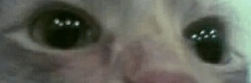 l_Barata_l's profile banner image
