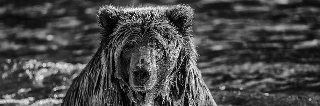 Jordan_Bobby17's profile banner image