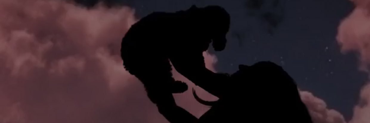 solfatum's profile banner image
