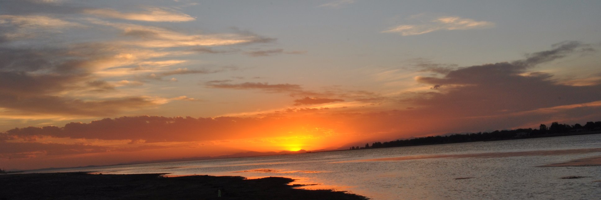 marazul203's profile banner image