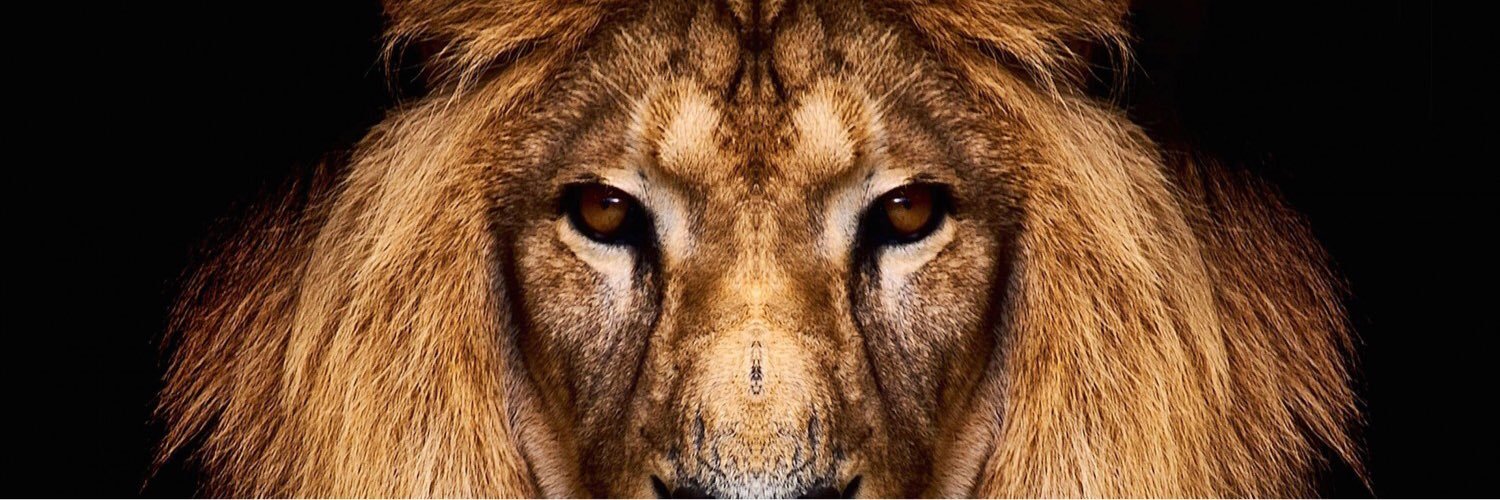 jasondushi's profile banner image