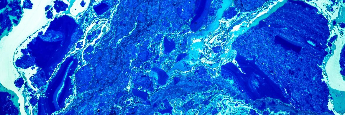 𝐓🌏️投資/決算 banner