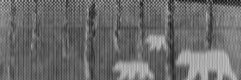 noswrld's profile banner image