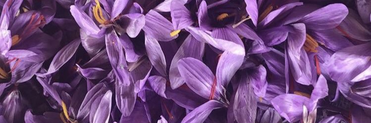 berylthe4th's profile banner image