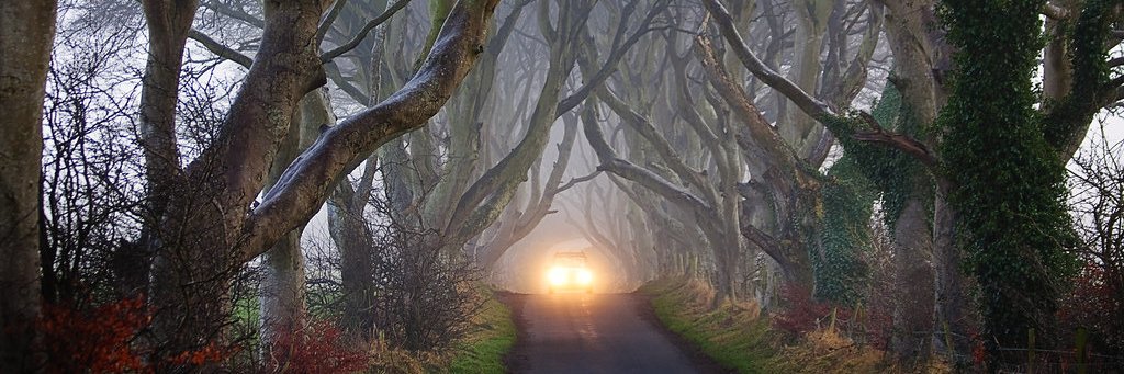mickd65's profile banner image