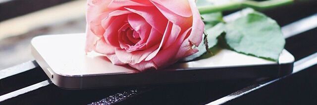 .... banner