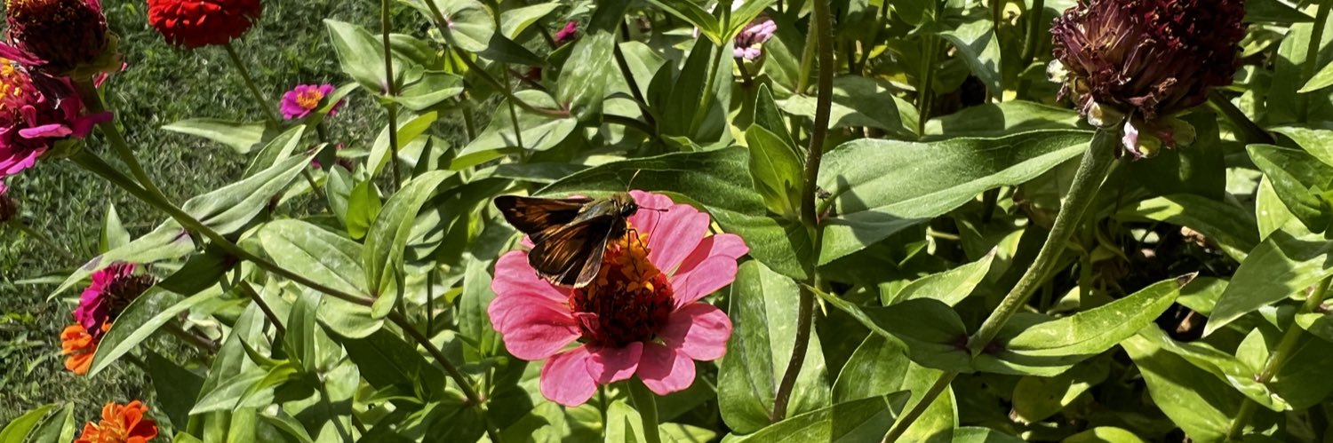 steffimidge's profile banner image