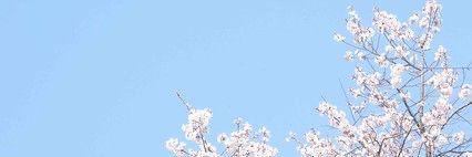 flonet29's profile banner image