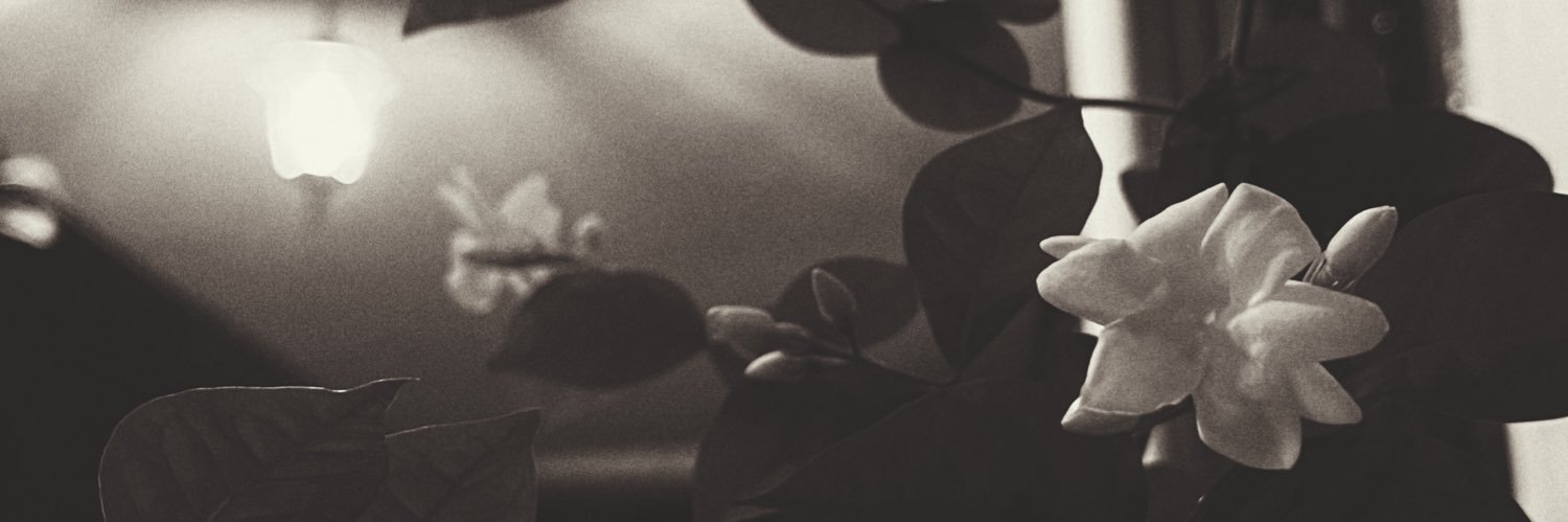 rex_agrias's profile banner image