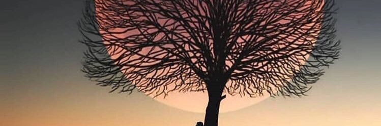 joa_dby's profile banner image