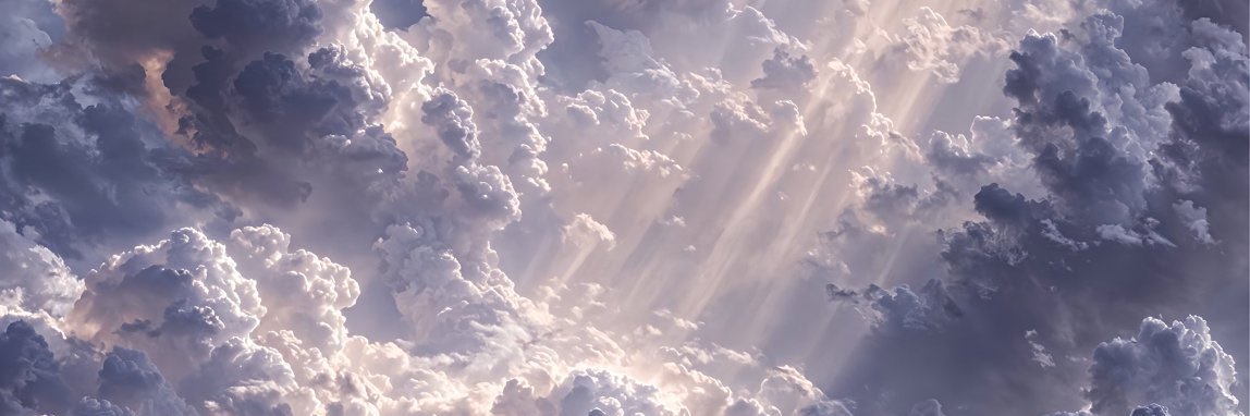 alanmimi21's profile banner image