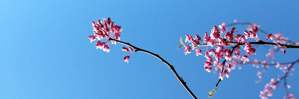 mary_crylen's profile banner image