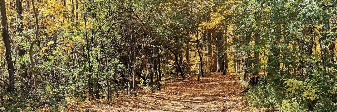 Maricruz Rodriguez banner