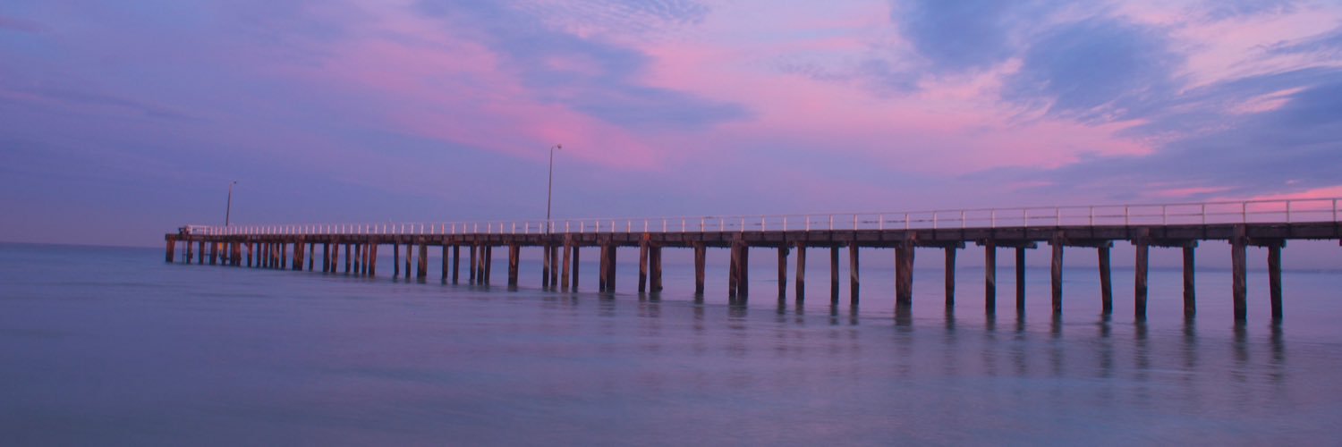 TV 🦄🍄Junkie banner