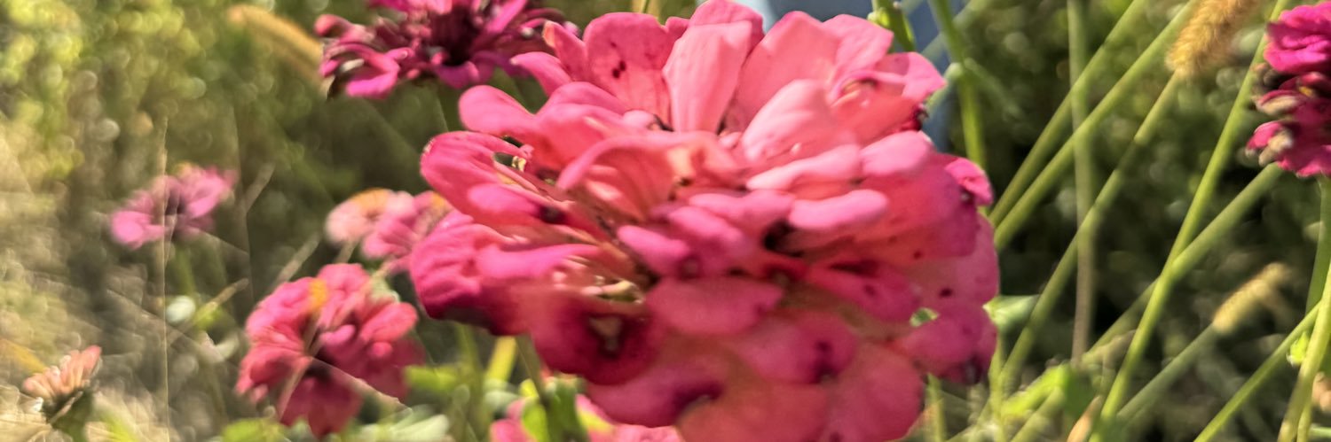 perlaflrss's profile banner image