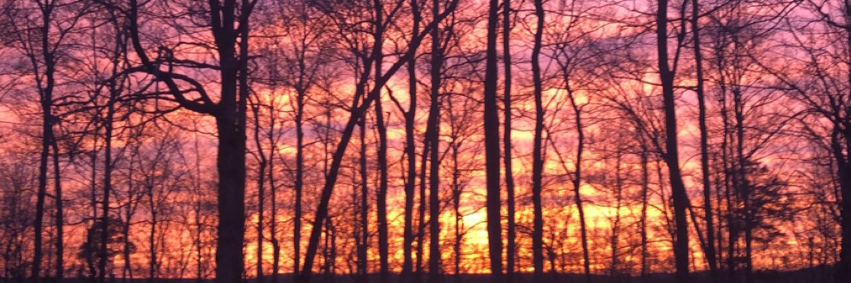 j44smith's profile banner image