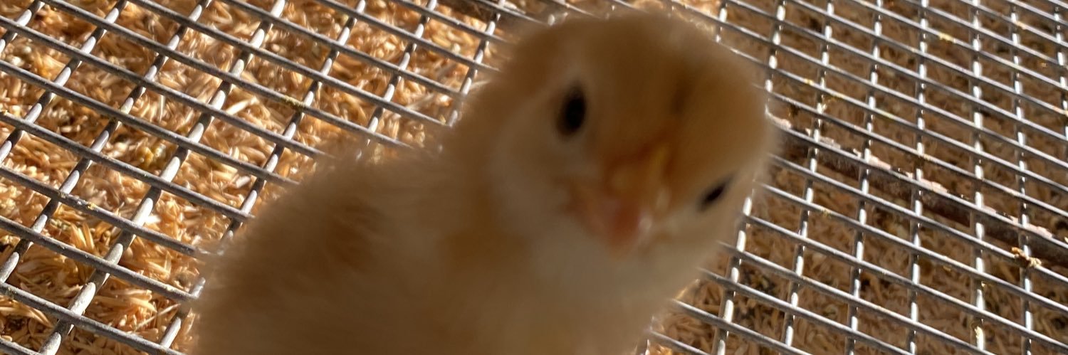 nandrade1's profile banner image